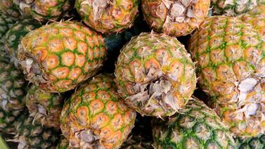 OPINIÓN: Presidente Alvarado saca caja en cumbre ecológica mientras las piñeras son un desastre ambiental