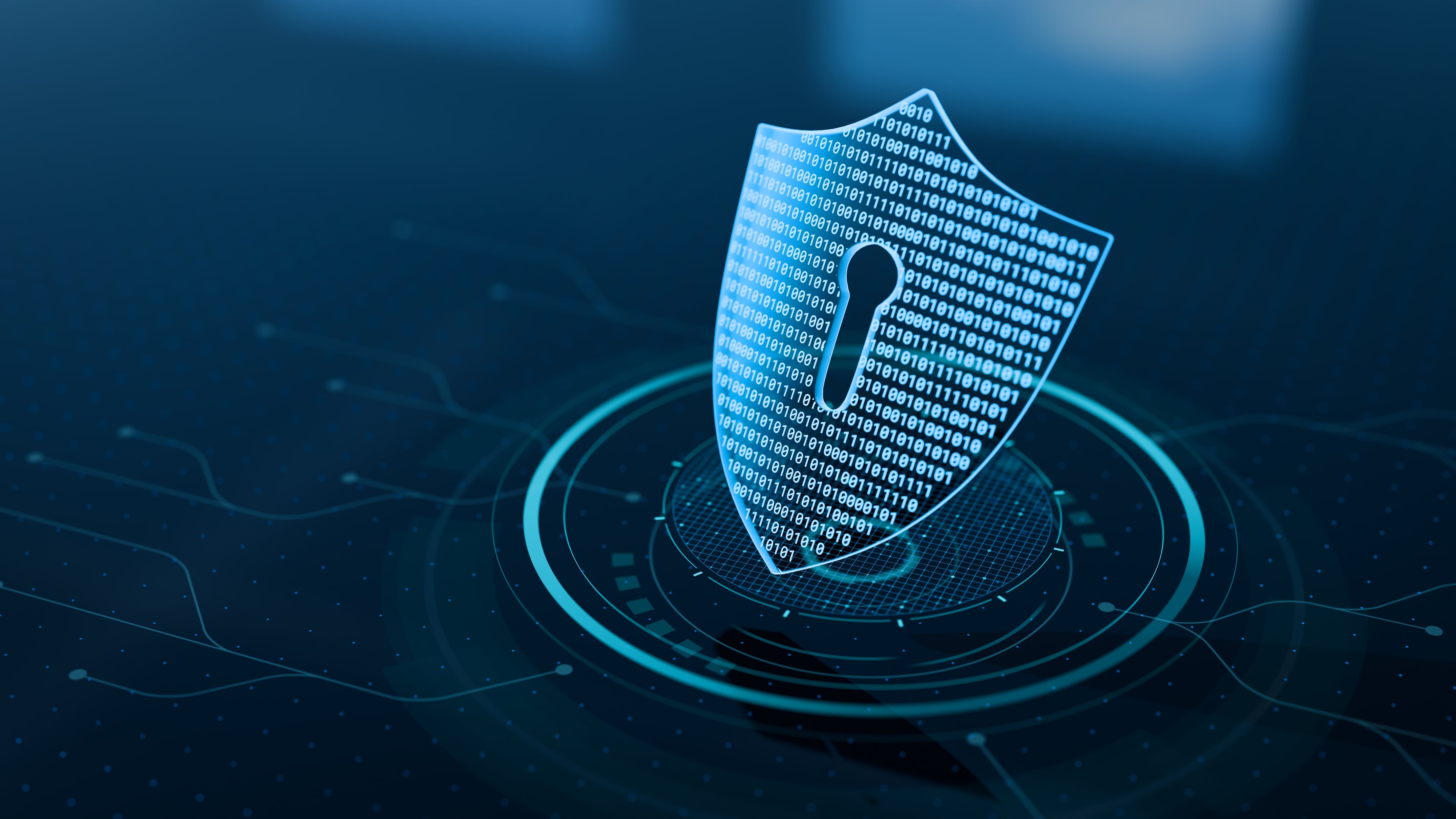 Protección de datos personales, a salvo del Estado, desprotección digital