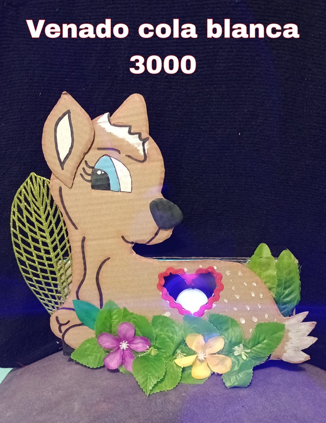 Doña Maricela Leitón hace faroles, pero su sueño de sacar sexto grado la hizo parar este año y por eso su hija, Verónica Angulo, le ayudará con los encargos