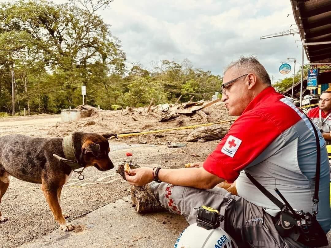 Las cabezas de agua del río Aguas Zarcas en San Carlos provocaron la salida de emergencia de muchas familias que incluso dejaron a sus mascotas. La Cruz Roja ha rescatado perros y gatos