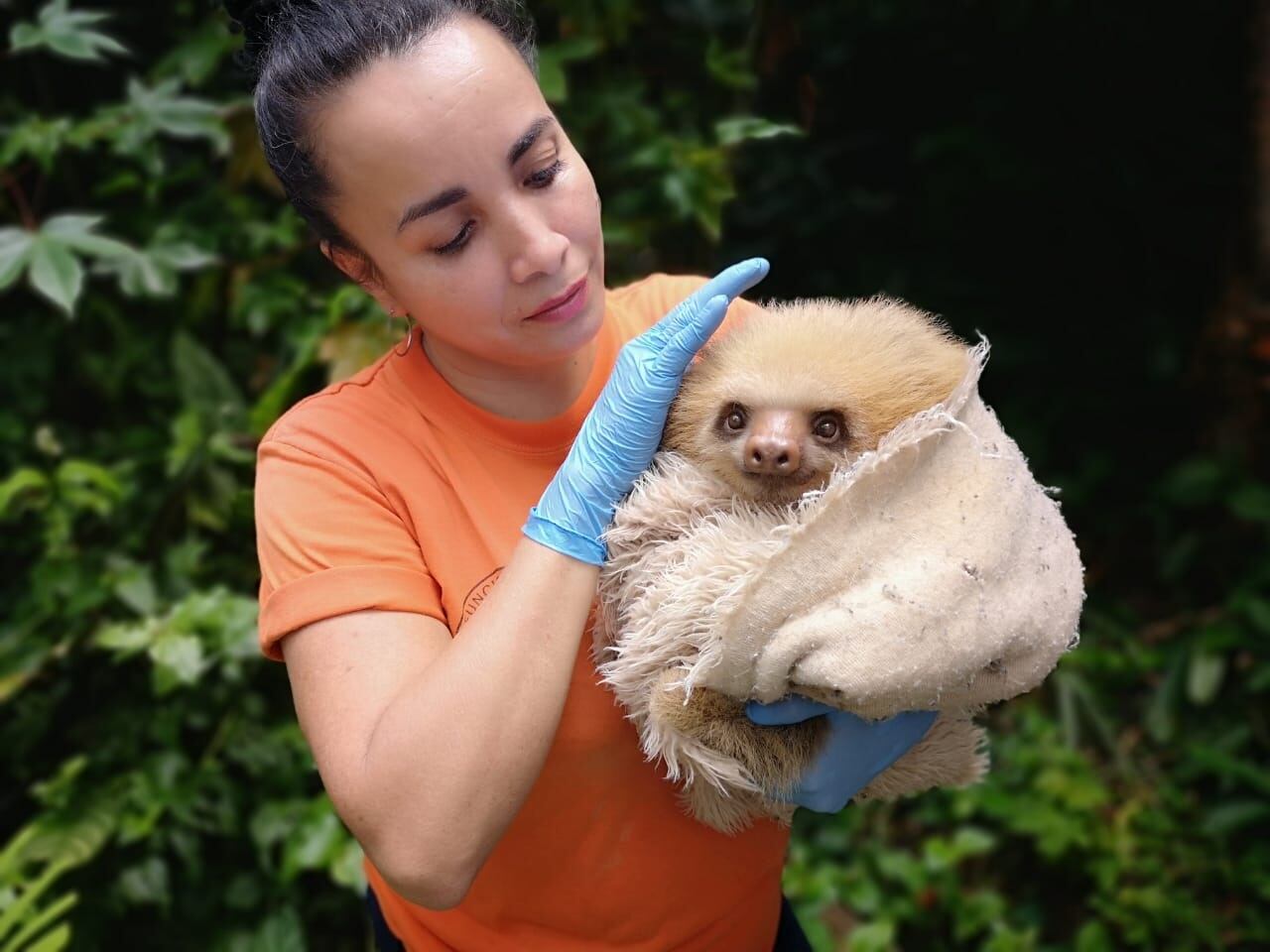 Día de las madres, Aleida Méndez, cuidadora del ZooAve