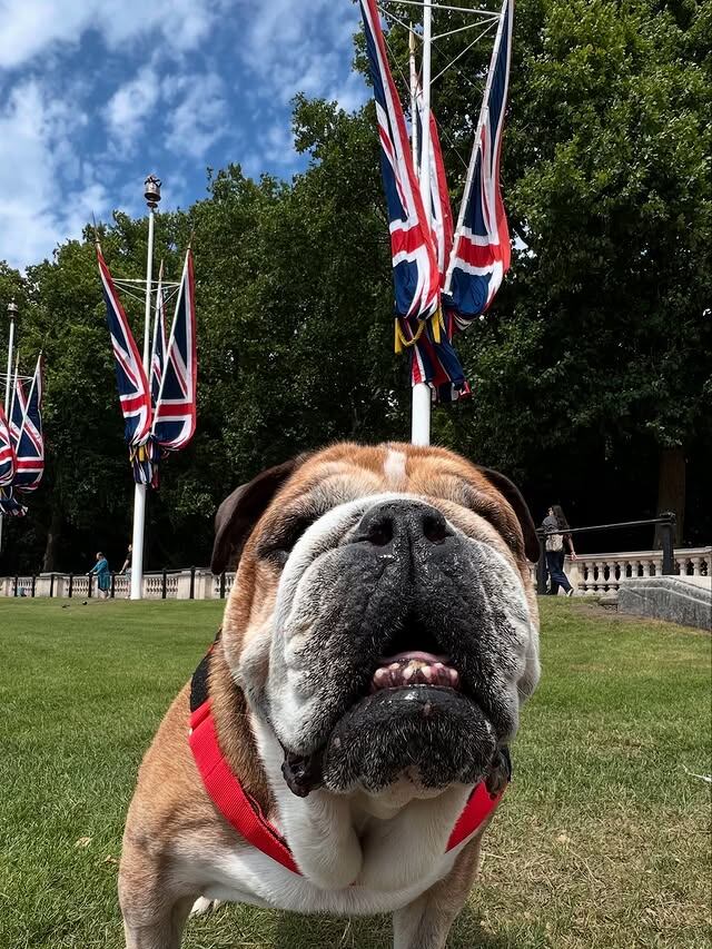 Lewis Hamilton y su perro Roscoe