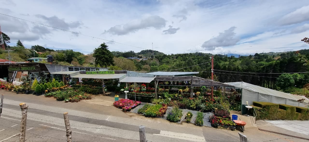 Marcela Gamboa Gamboa vive su día en medio de plantas, árboles y flores