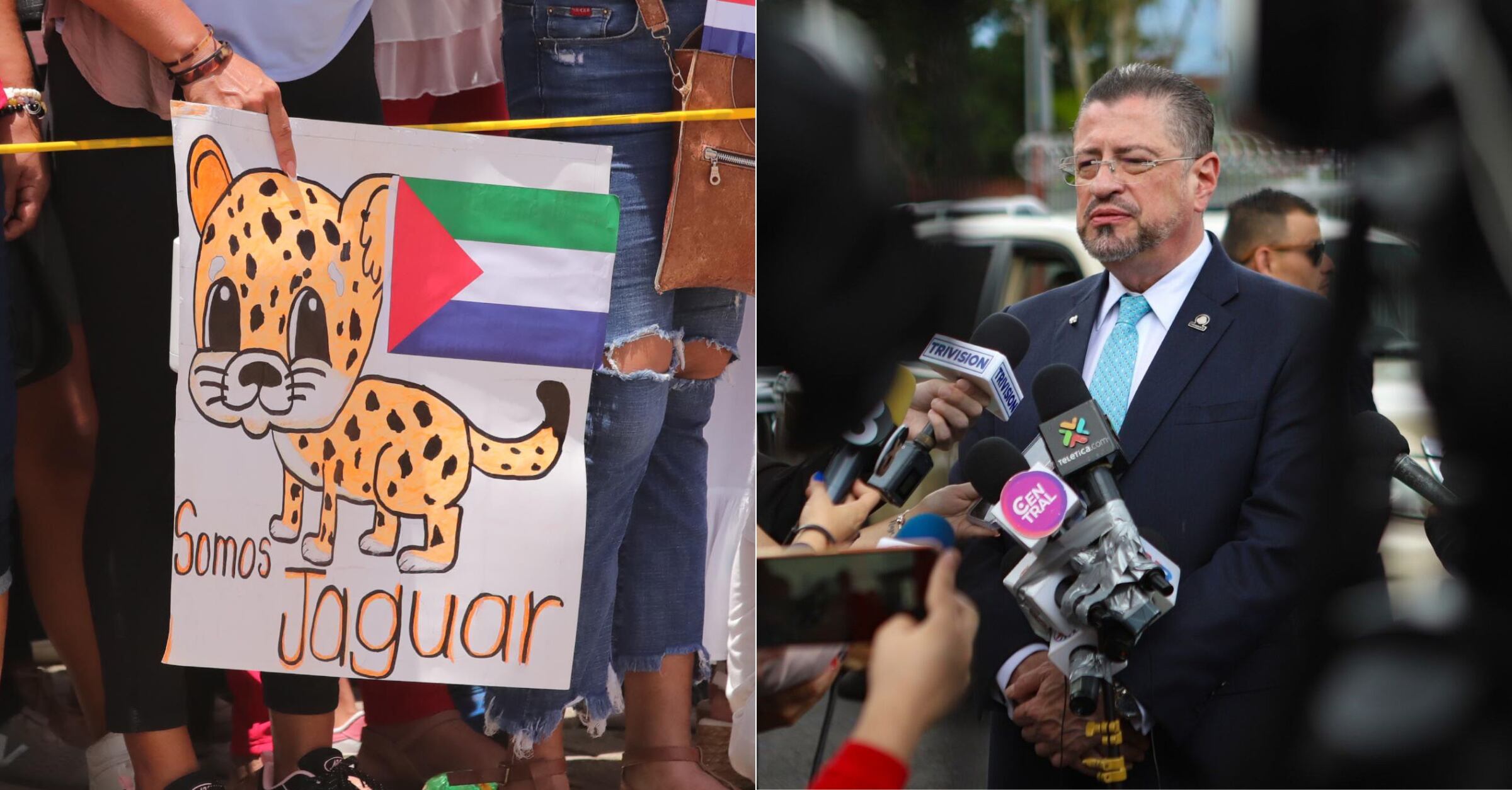 La ley jaguar perdió dos de sus cuatro patas: ¿qué cambió en la nueva versión del plan para referéndum?