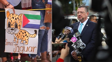 Ley jaguar: Esto fue lo que mandó a consultar el Tribunal Supremo de Elecciones a la Sala IV