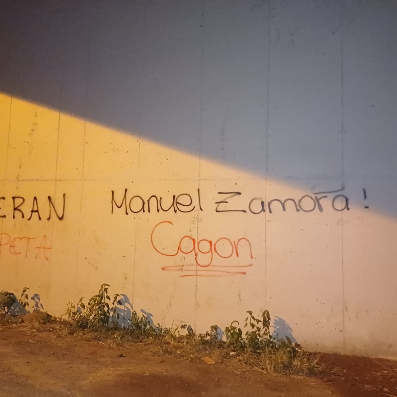 Muchos aficionados de Liga Deportiva Alajuelense continúan molestos con el gerente general del club, Manuel Zamora.