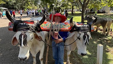 La Sabana fue escenario de una belleza de desfile de boyeros, vea las mejores fotos