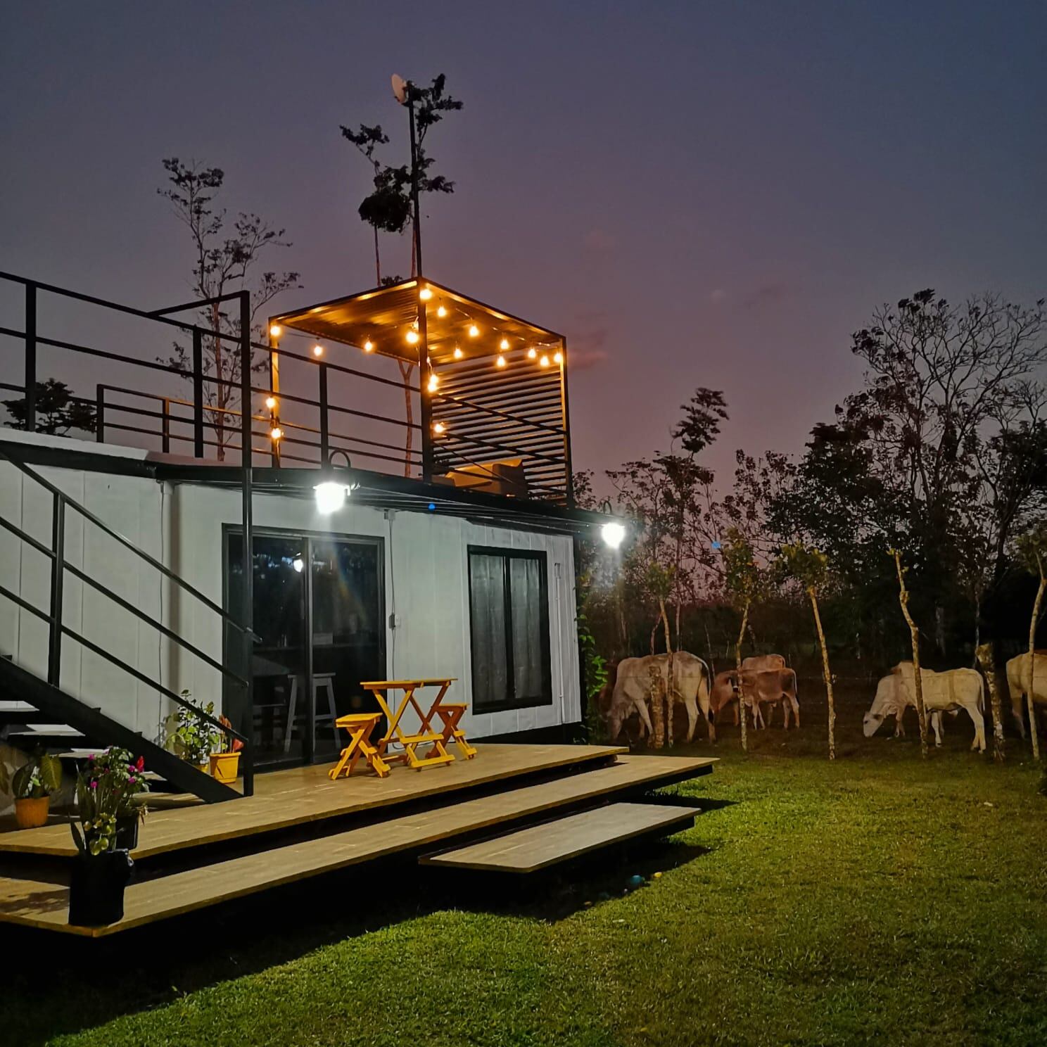 Amalia Barrantes Orozco es maestra de primaria y en el 2020 se le ocurrió la “loca” idea de invertir los ahorros de su vida en un proyecto demasiado nuevo para el desconocido barrio Esteritos en Pocosol, una cabaña a partir de un contenedor