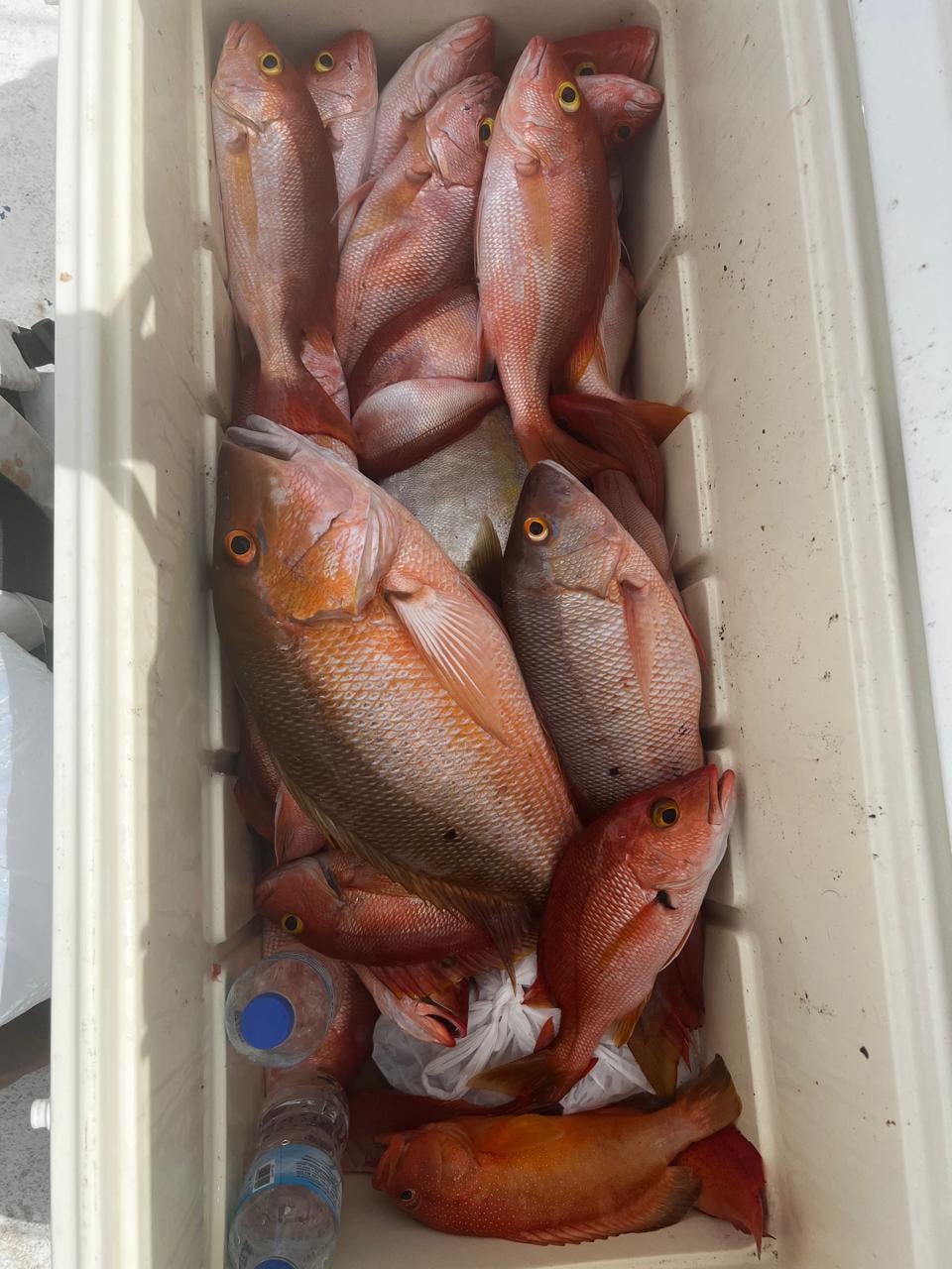 Para ser un pescador artesanal hay que estar enamorado del mar. De eso está completamente segura María Teresa Williams Cole, conocida como Doña Ana en Cahuita en donde tiene más de 50 años de ser pescadora artesanal.