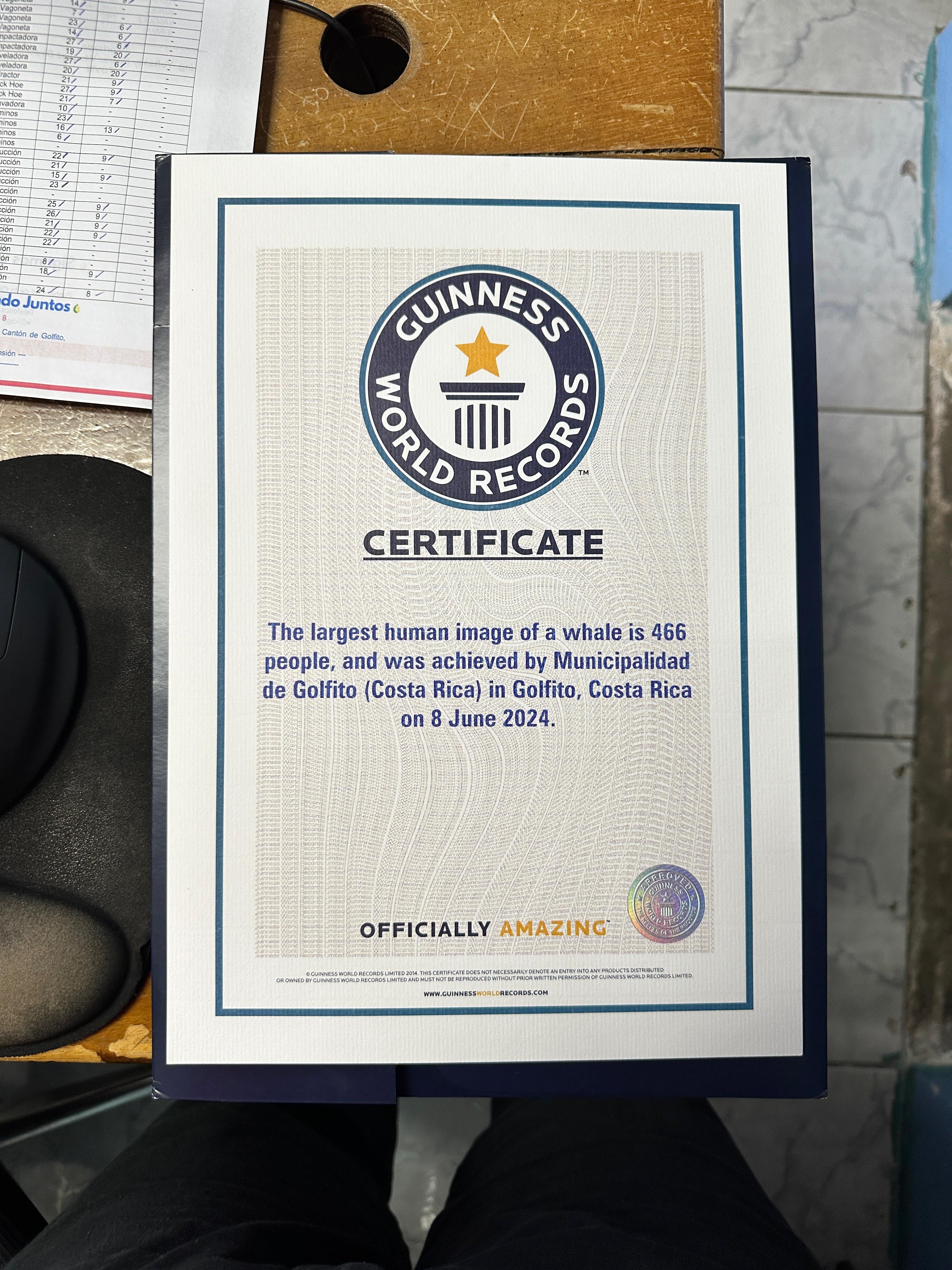 El sábado 8 de junio del 2024, a las 9 de la mañana, llegaron a la convocatoria 466 personas a playa Zancudo para formar la silueta de una ballena jorobada y así imponer un nuevo Record Guinnes.