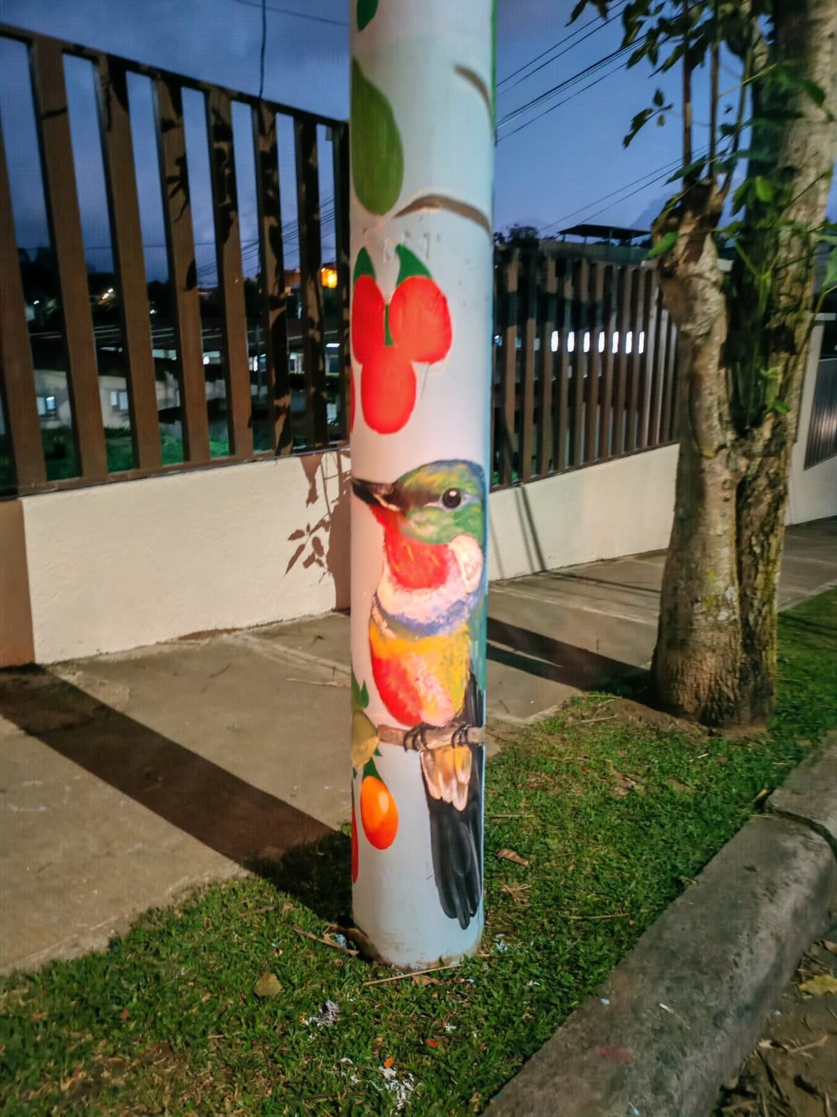 En el distrito de Granadilla del cantón de Curridabat, el 22 de febrero del 2025, comenzaron a pintar los postes de luz con el objetivo de luchar a pura brocha y pintura contra la delincuencia