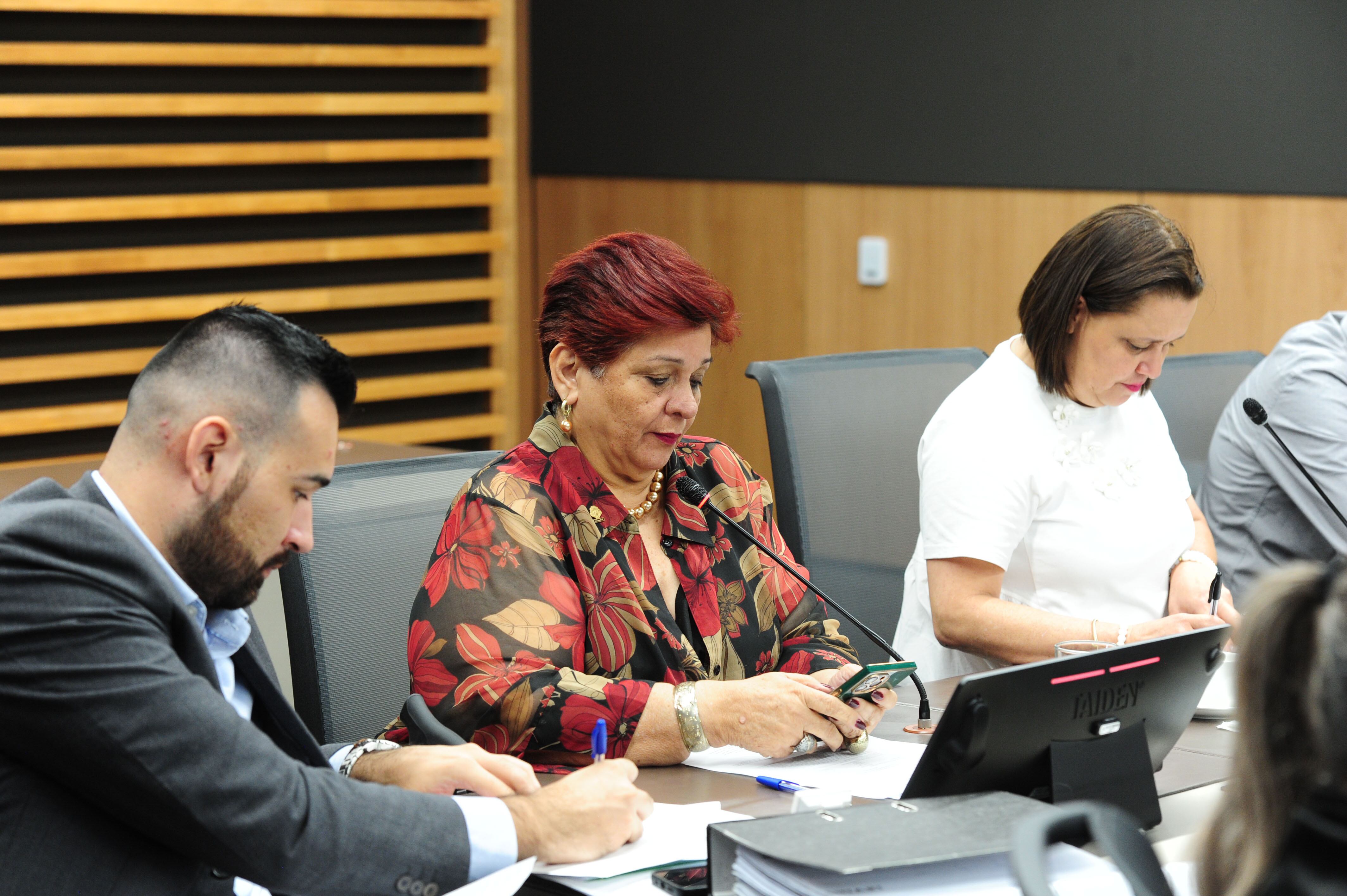 Asamblea Legislativa, Comisión SINART