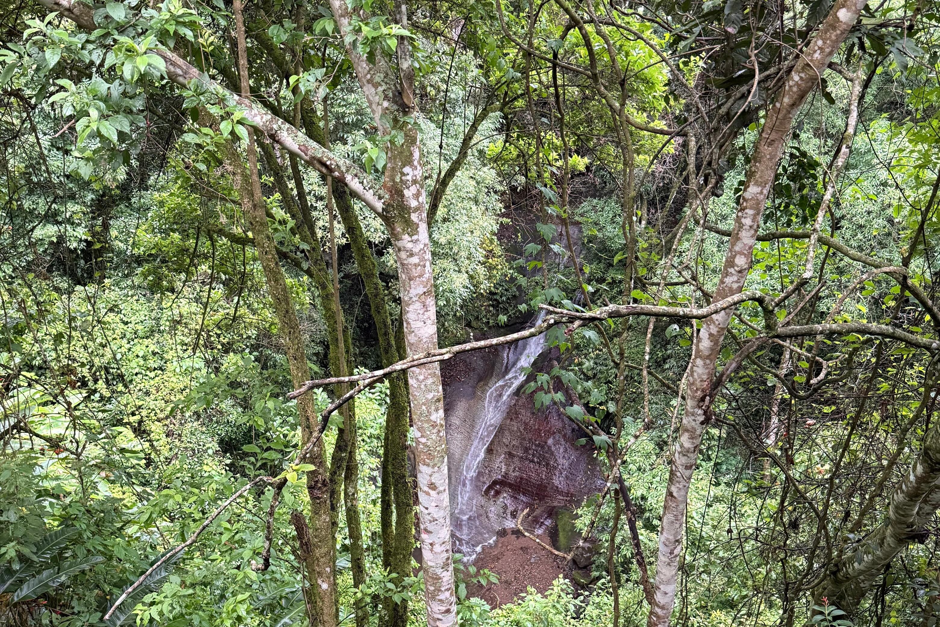 Catarata Sonidos del Silencio