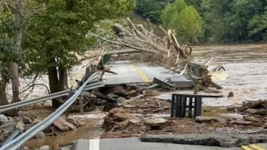 Apareció el pez del “fin del mundo” en México y desató teorías sobre desastres naturales