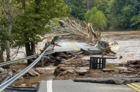 El pez remo fue encontrado en la zona restaurantera del poblado de Bucerías, en Nayarit.