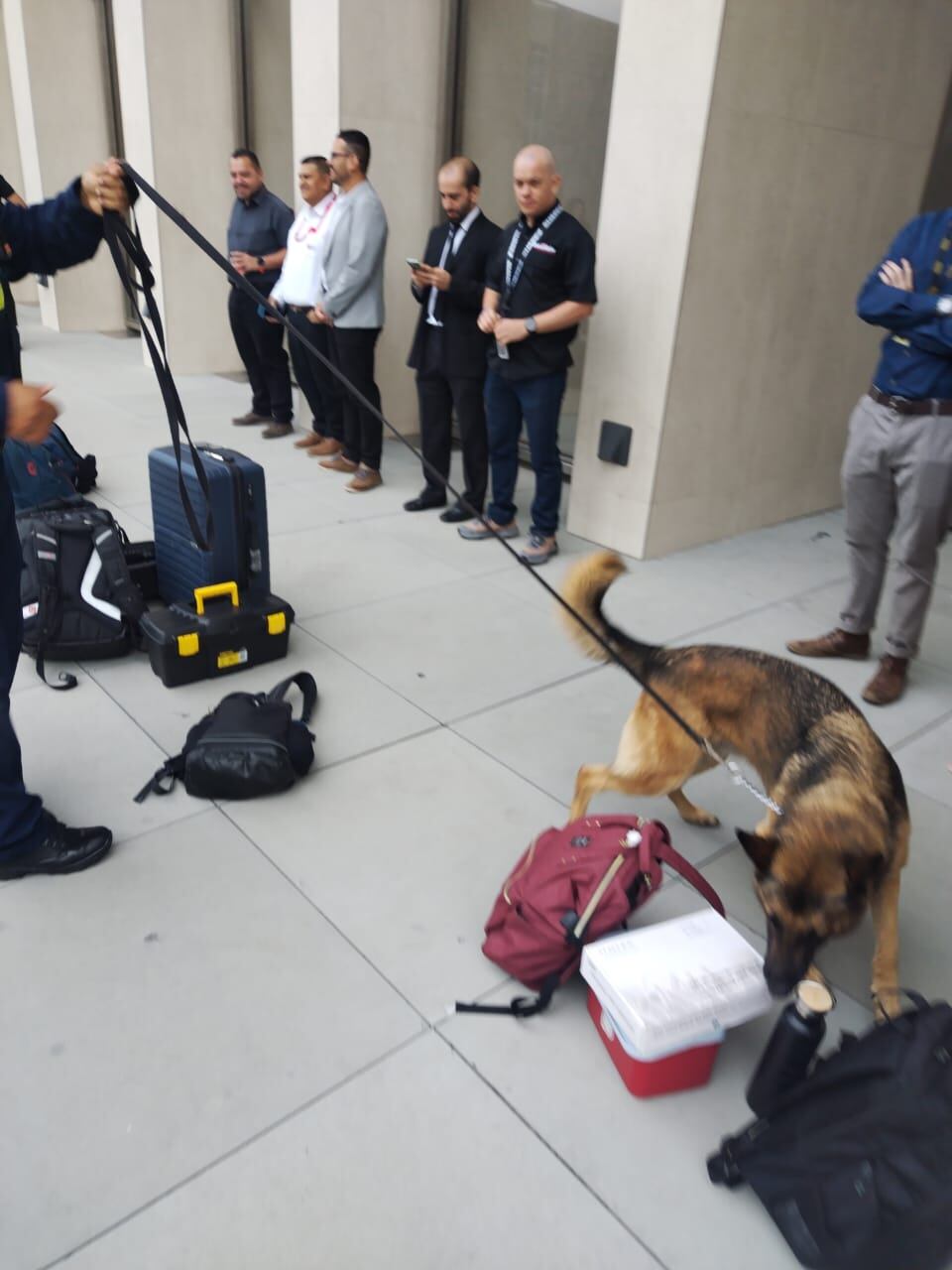 Desde antes de las seis de la mañana ya Seven andaba en los alrededores del edificio de la Asamblea Legislativo poniéndole duro al bretecito, feliz de la vida.