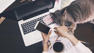 Empresas intentan descubrir la simulación de actividad de sus empleados durante el teletrabajo