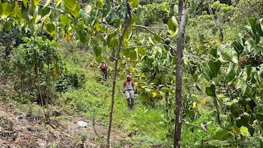¡Apareció con vida! Hallan a niño de 3 años que estaba desaparecido en Dota