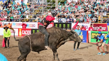 Toros vienen con caras nuevas, ausencias sonadas y alianzas inesperadas en la tele nacional
