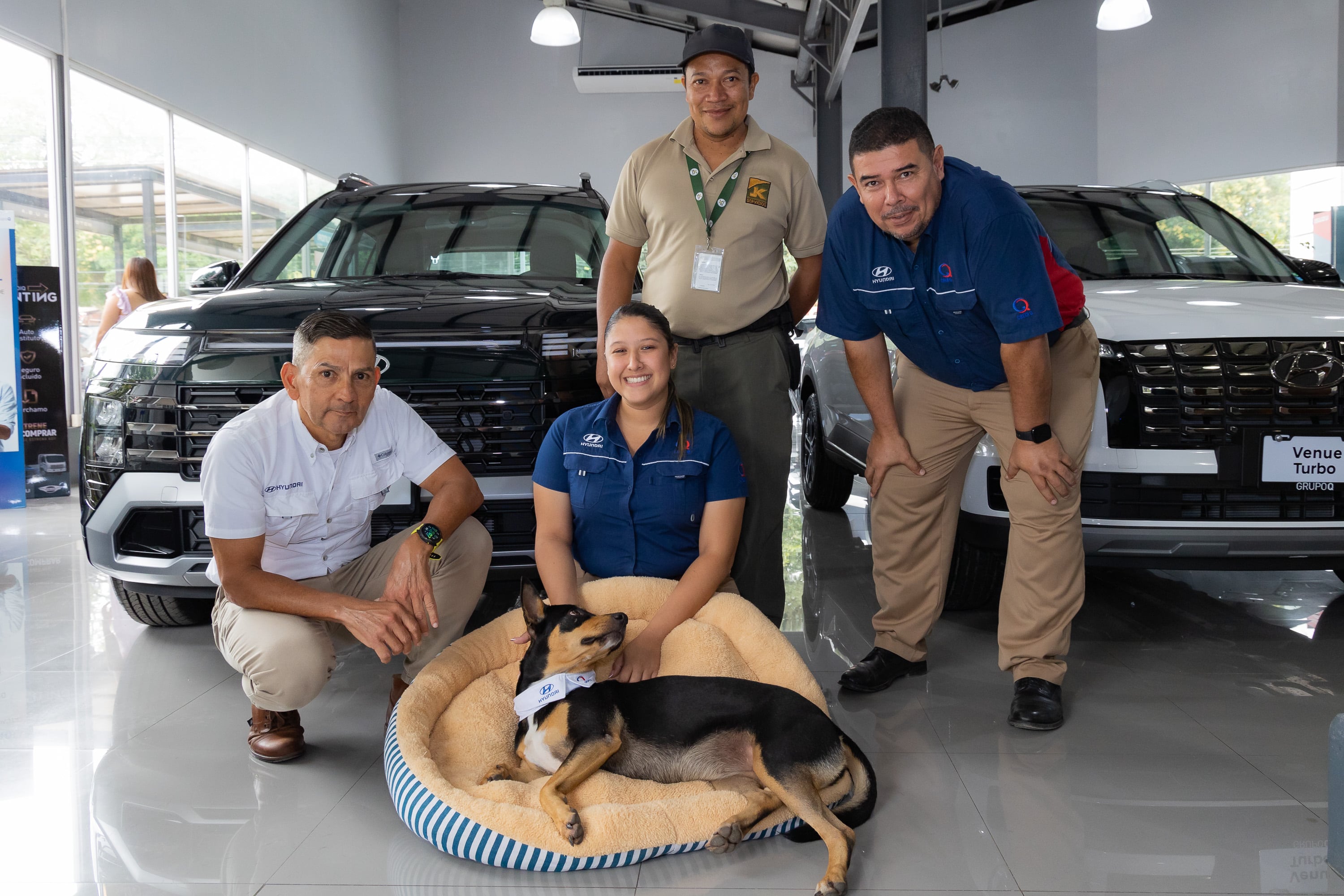 A mediados de diciembre del 2024, una zaguatita negra, flaquita y desconfiada apareció de la noche a la mañana en la sucursal de Hyundai Liberia y, sin hacer ruido ni pedir permiso, decidió que ese sería su lugar en el mundo.