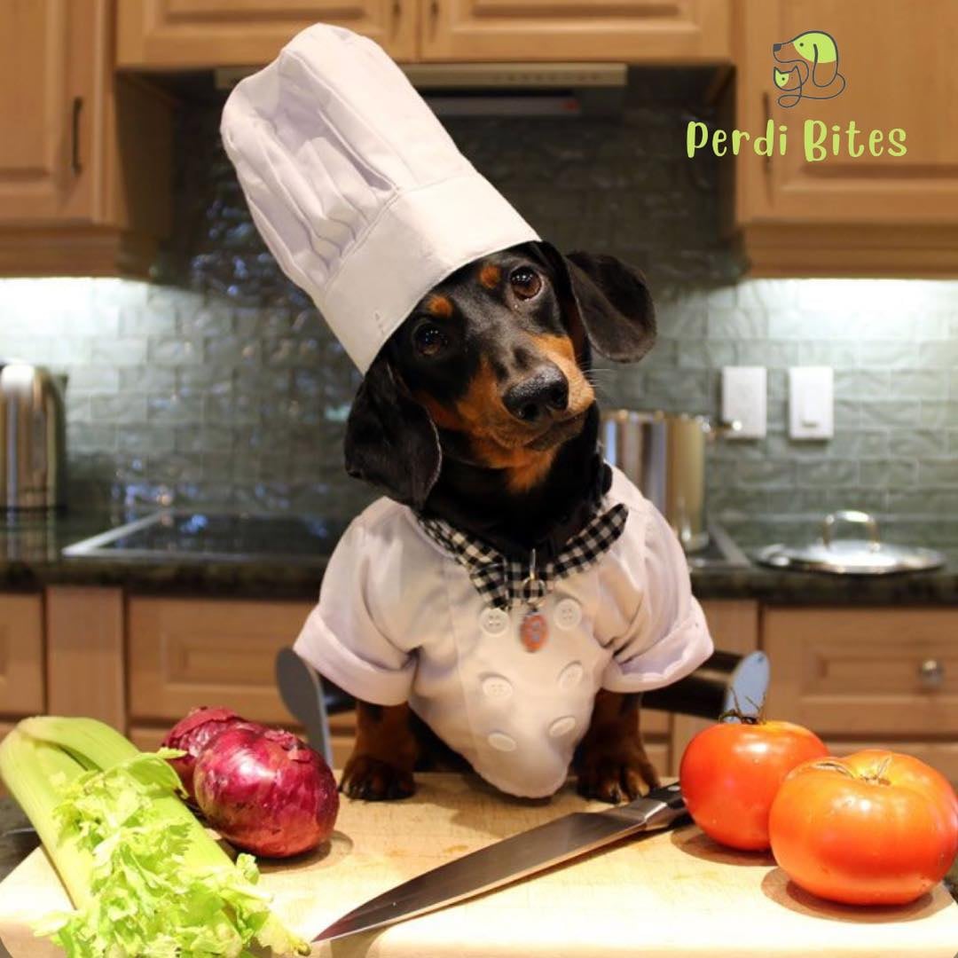 Daniel Alvarado García no solo es un chef profesional con 15 años de experiencia, también es el "papá" humano de Perdita y Pipin, dos perritos que comen mejor que muchos humanos, y no por antojo, sino porque él y su pareja, Nicole Irola, crearon un negocito lleno de amor perruno llamado Perdibites