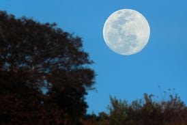 Luna del lobo y lluvia de meteoritos, con esos espectáculos nos recibe el cielo del 2026