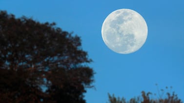 Luna del lobo y lluvia de meteoritos, con esos espectáculos nos recibe el cielo del 2026