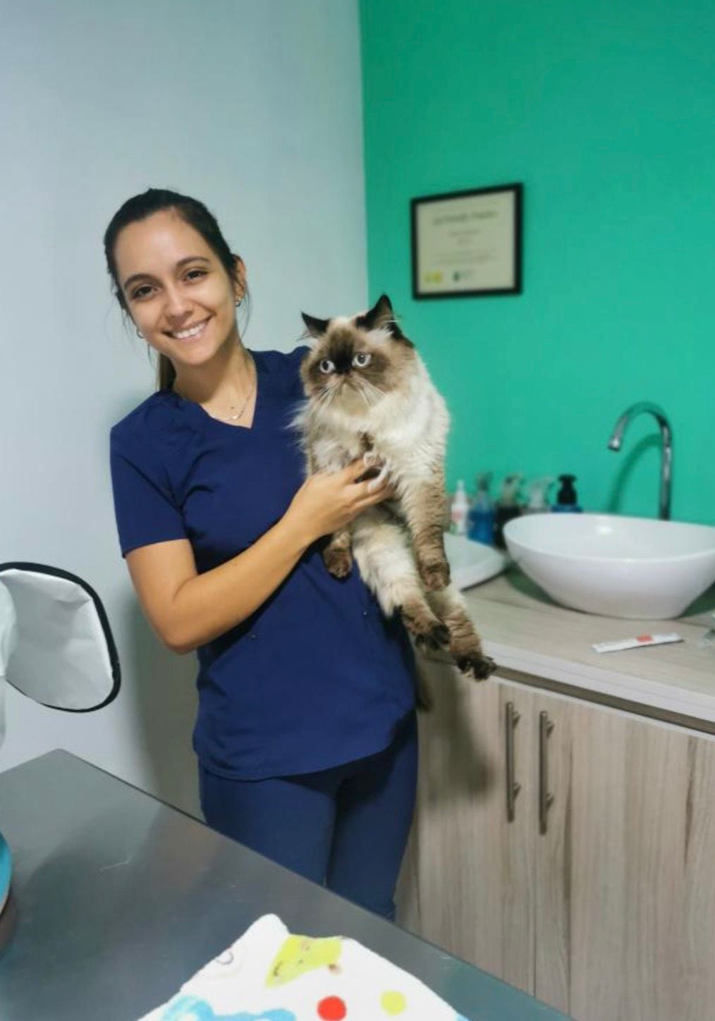 जेव्हा सांता बार्बरा डी हेरेडिया येथील रहिवासी ग्रेसिएला गोमेझ गोमेझने तिची स्वतःची मांजर घेण्याचा निर्णय घेतला, तेव्हा तिने कधीही कल्पना केली नाही की ती योडीसोबतच्या तिच्या आयुष्यातील सर्वात कठीण (आणि सर्वात परिवर्तनीय) लढाईत उतरणार आहे.