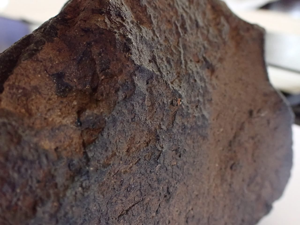 Paulo Ruiz Cubillos es geólogo de la Universidad de Costa Rica (UCR) y también es fotógrafo profesional. Él tuvo la exclusiva oportunidad de realizarse una sesión fotográfica a un fragmento del meteorito Aguas Zarcas.