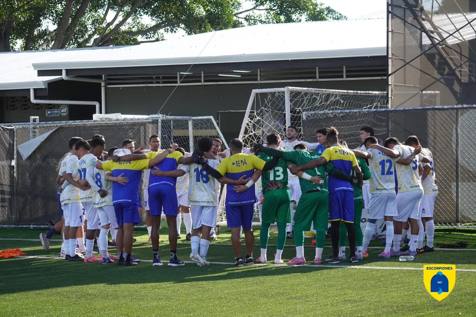 Escorpiones confirmó su llegada a la Primera División una semana antes del inicio de la máxima categoría.
