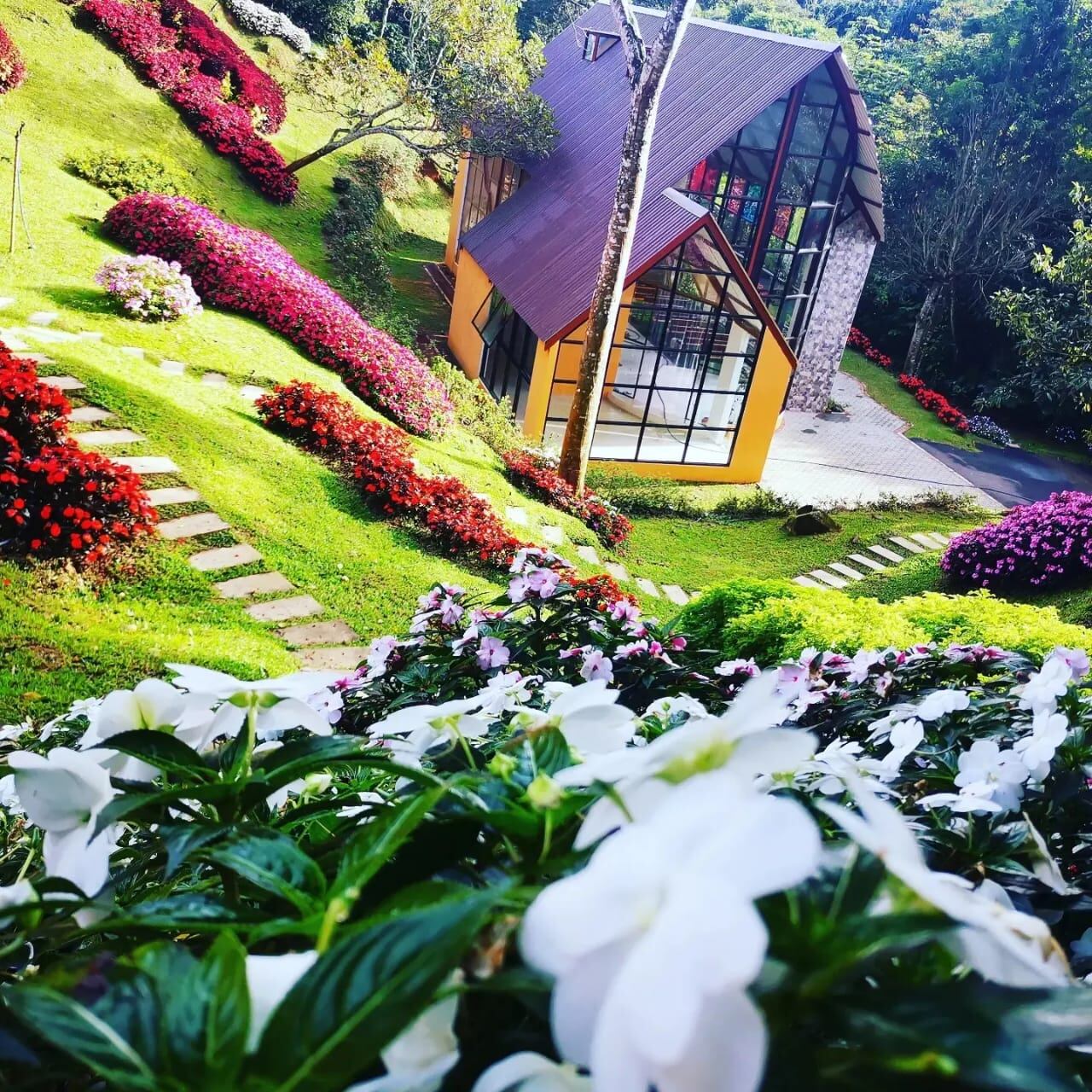 Amplios jardínes, una pequeña granja, senderos, un pueblo mágico de abejas meliponas y la capilla con más de 300 mariposas. Eso disfrutan los visitantes de este lugar en Piedades Sur de San Ramón, Capilla Ambar EFE.
