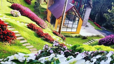 Más de 500 mariposas son las invitadas de honor a las bodas de una capilla en San Ramón