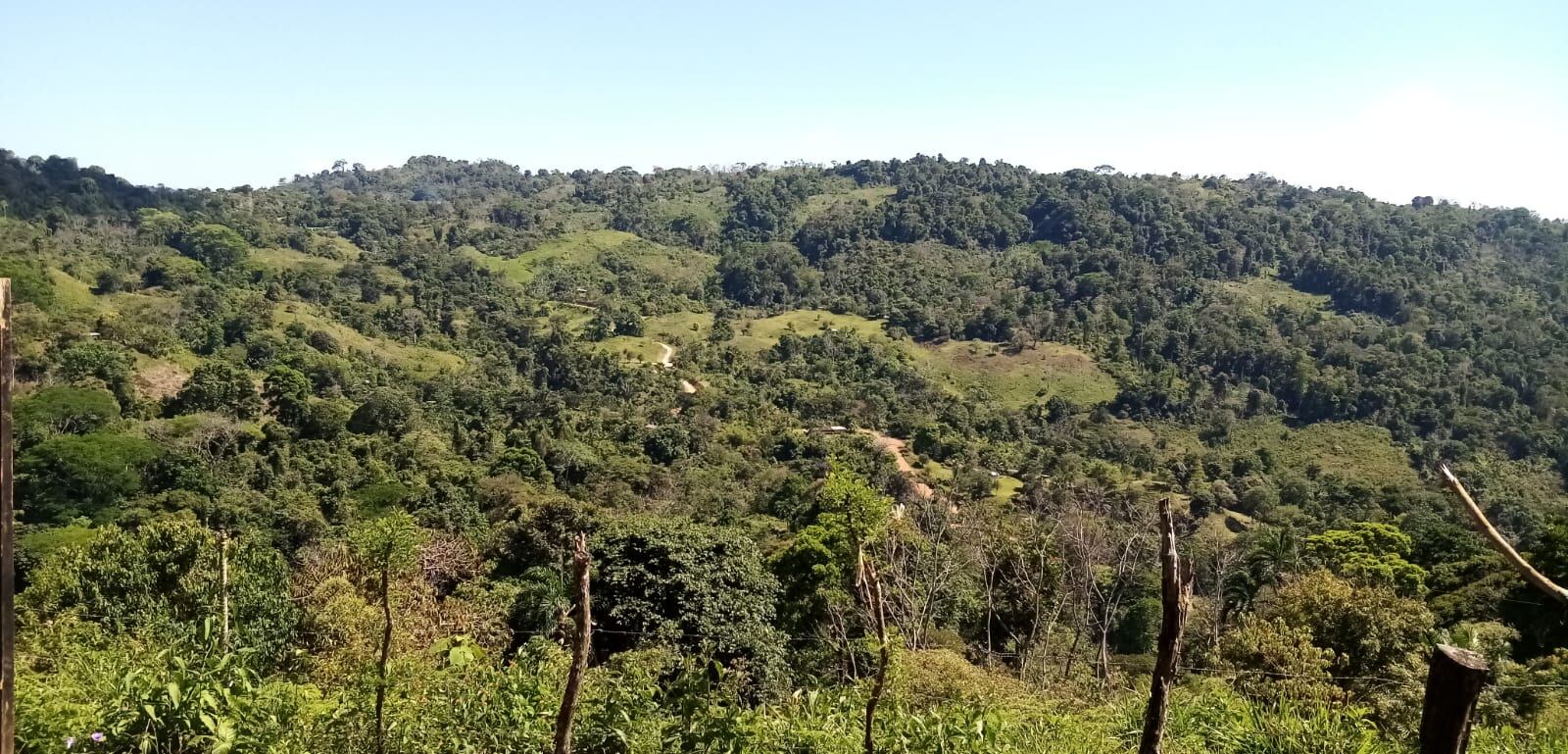 Bruno Montezuma Santos, joven que falleció al ser impactado por un rayo en Corredores. Foto cortesía Benito Montezuma.