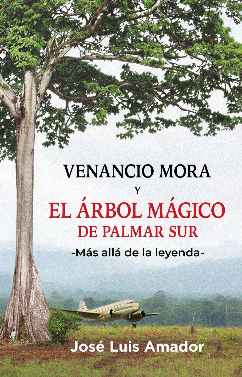 El antropólogo escritor, José Luis Amador Matamoros, publicó un libro llamado “Venancio Mora y el árbol mágico de Palmar Sur -Más allá de la leyenda-”.