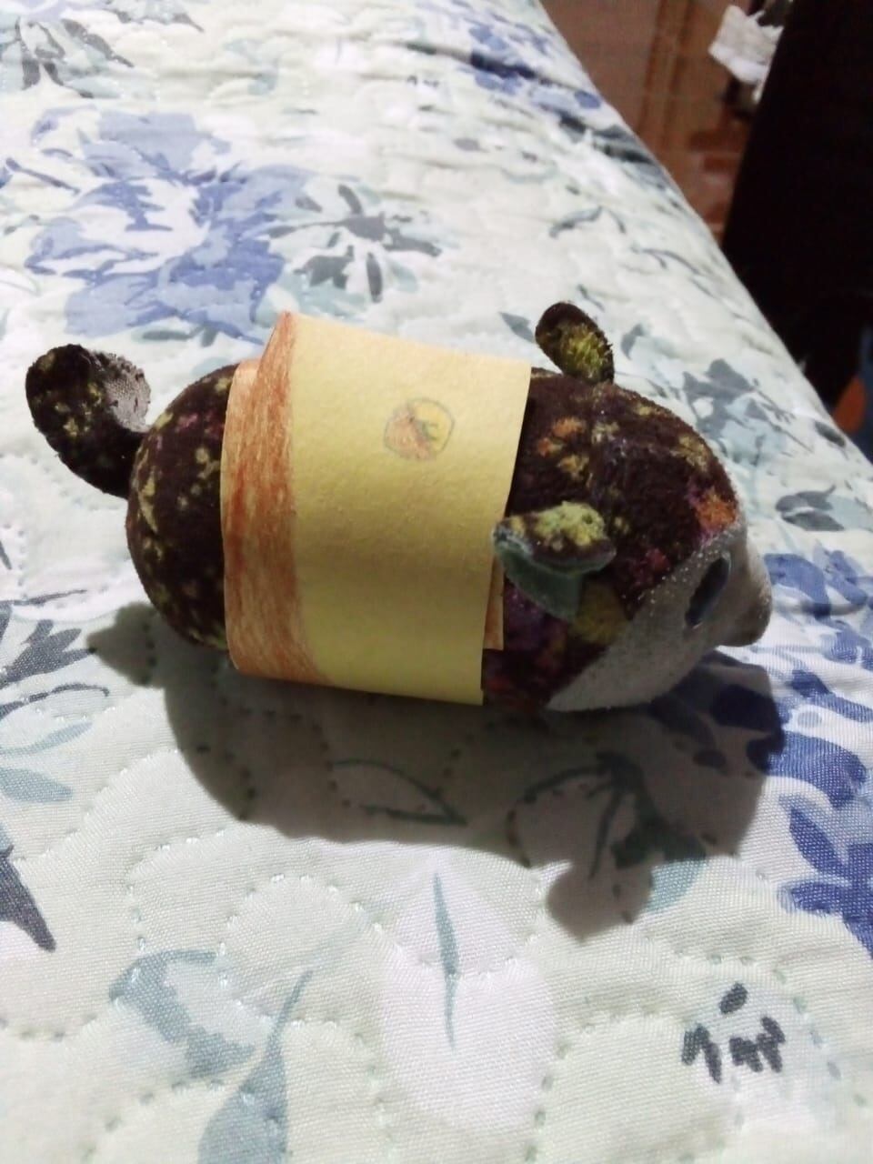 Eythan Rodríguez es aficionado al team. Cortesía.