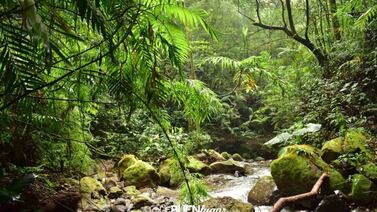 Salga a turistear y refrésquese en una maravillosa catarata de Grecia