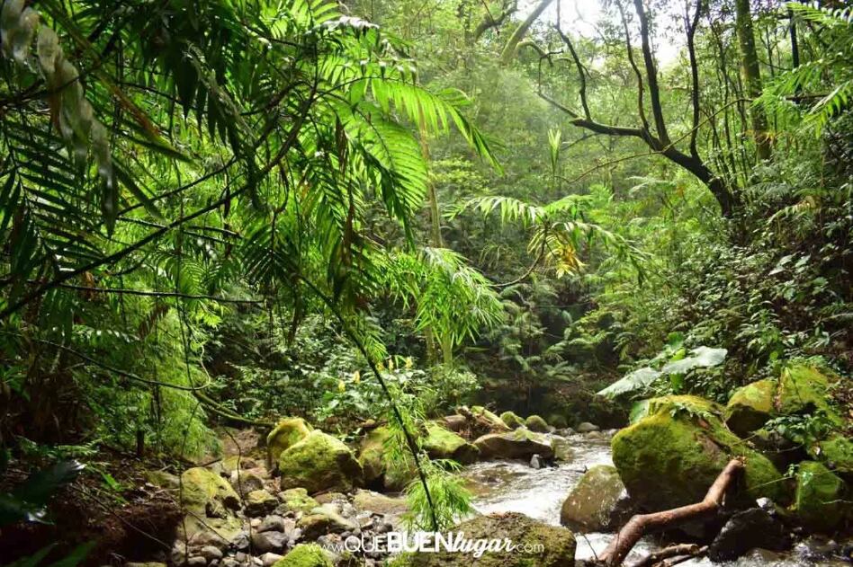 Se ubica aproximadamente a 3 km al este del templo católico de San Miguel de Grecia.
