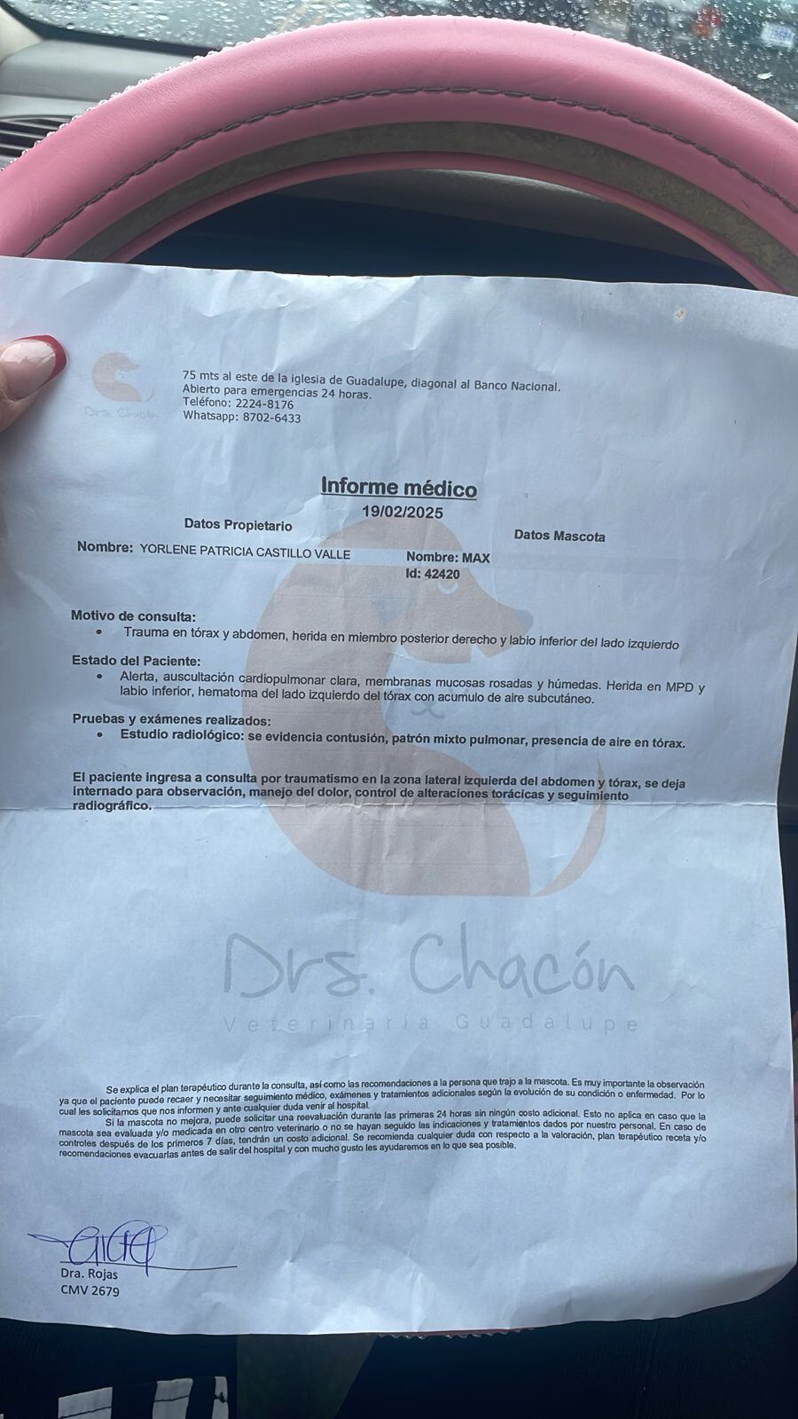 Todo esto es lo que tiene el perrito de la cantante Yorleny Castillo luego de la agresión que sufrió.