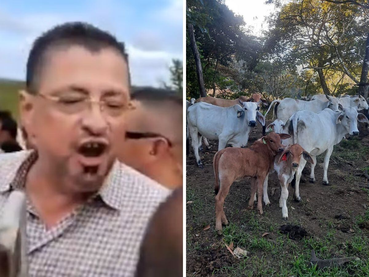 Rodrigo Chaves y el gremio de ganaderos no logran ponerse de acuerdo en cuanto a su polémico decreto. Foto: Cortesía.