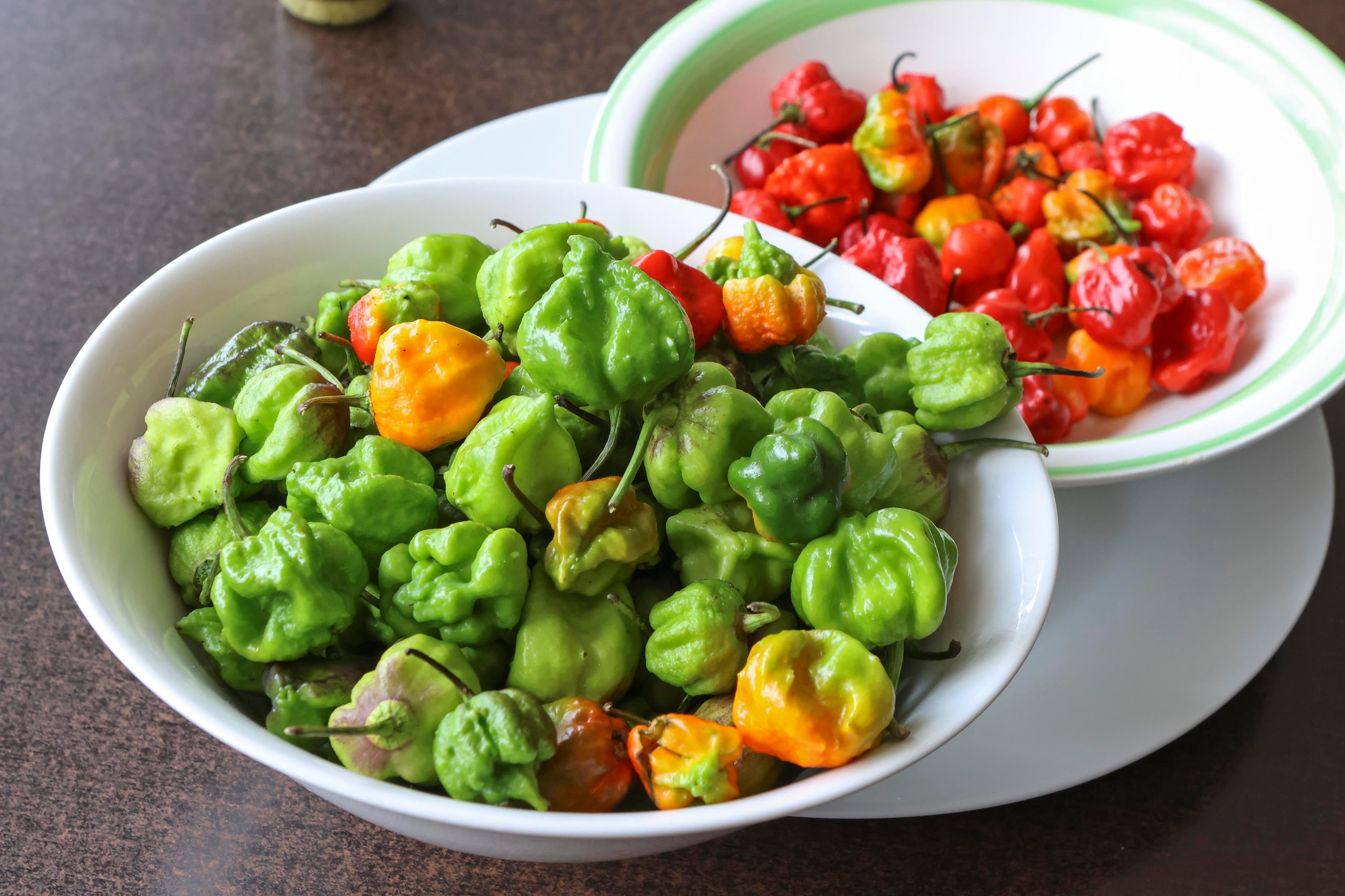 Soda Tierra Firme y su producto el chile marca Caseros