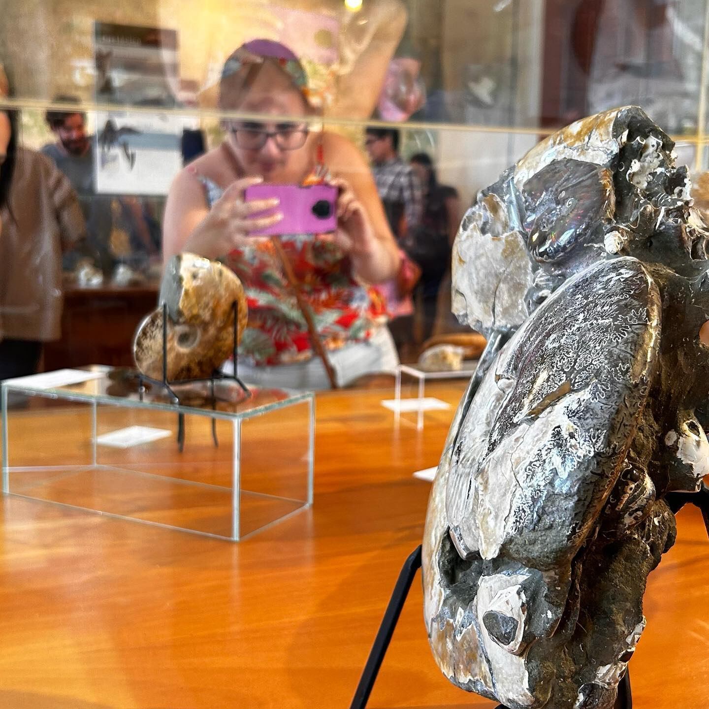 Alrededor de 150 piezas de fósiles, meteoritos y minerales procedentes de más de 30 países del mundo están expuestas gratuitamente en el Museo Regional de San Ramón.