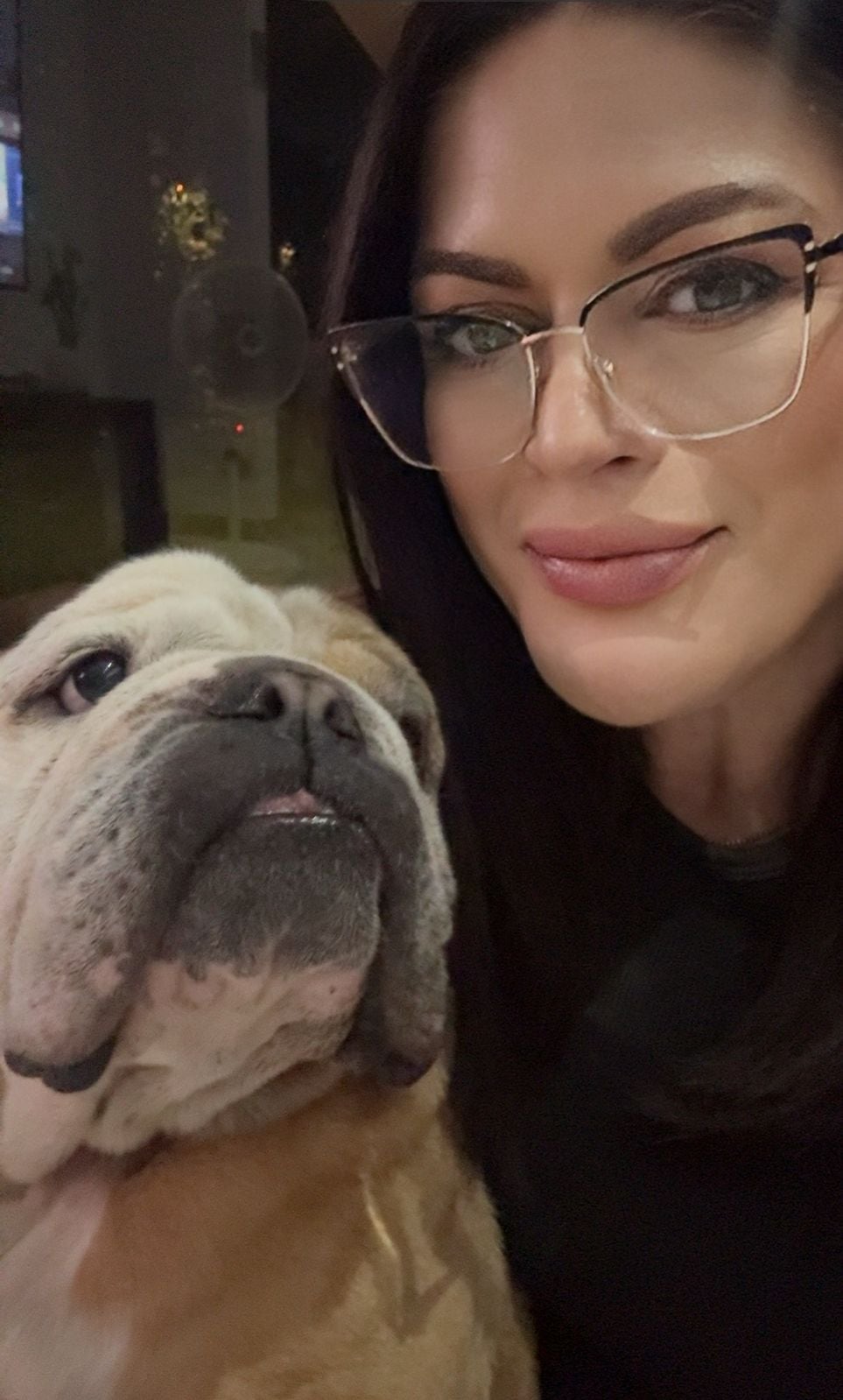 En Santa Bárbara de Heredia vive la amorosa doña Gina Varga, una mujer que lleva 15 años dedicando su vida al rescate de perros en Costa Rica. Este 2025 hizo un super altar para perritos en el cual está por primera vez Brisa, su amada perrita que falleció