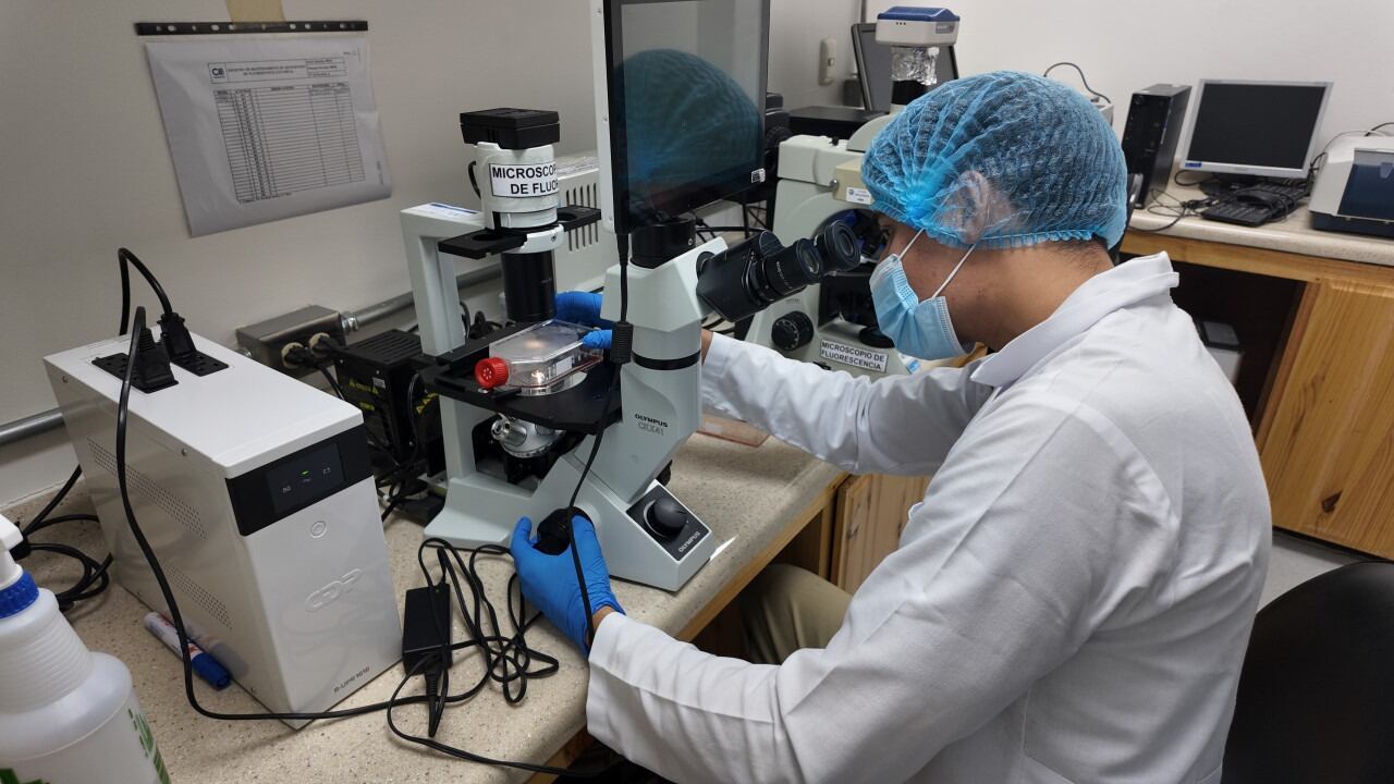 En Barranca de Naranjo, un pueblito escondido en la parte alta de la zona rural alajuelense, donde se respira olor a zacate fresco y la noche se ilumina con estrellas, nació y creció Samuel Villalobos Vargas quien estudia Ingeniería en Biotecnología y está a punto de hacer algo histórico: es el primer estudiante de su carrera y del TEC que irá a realizar su trabajo final de graduación al Instituto Karolinska, en Suecia, donde se define el Premio Nobel de Medicina