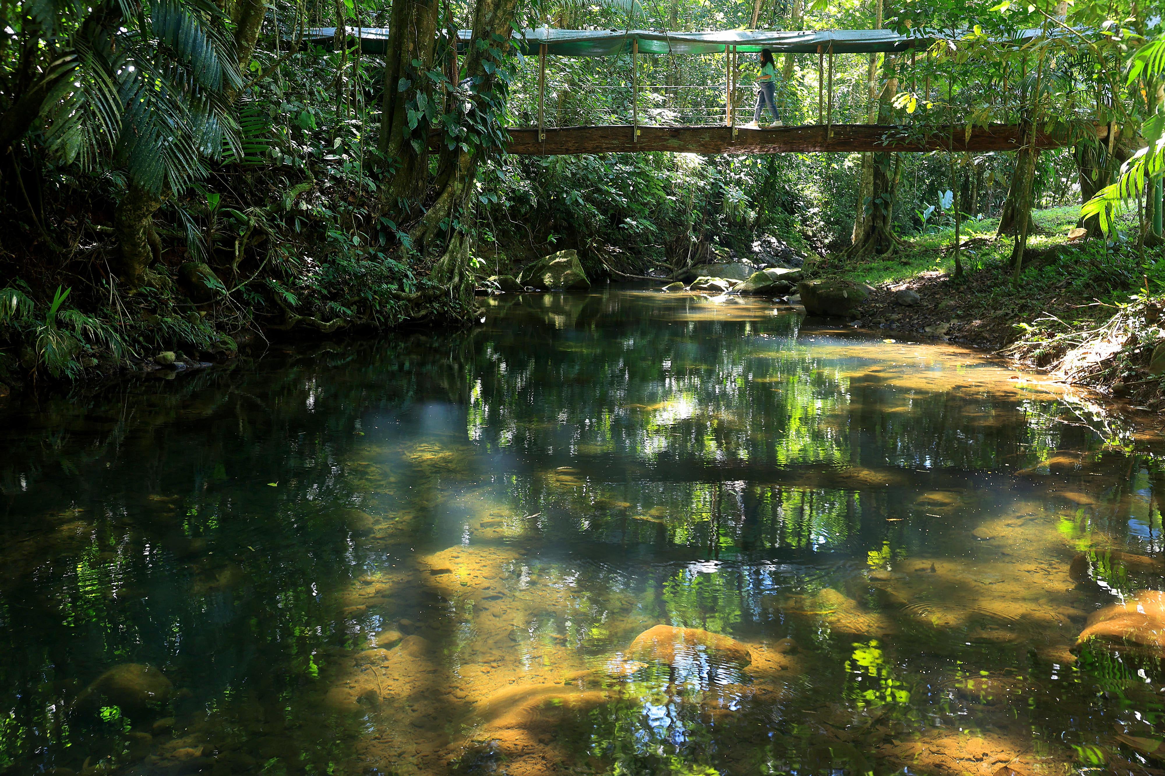 06/03/2024 Río Cuarto de Alajuela. Hotel del Bosque, ofrece caminatas por senderos naturales, servicio de restaurante, gimnasio, canchas y áreas al aire libre para practicar deporte, incluyendo una piscina natural. Foto: Rafael Pacheco Granados