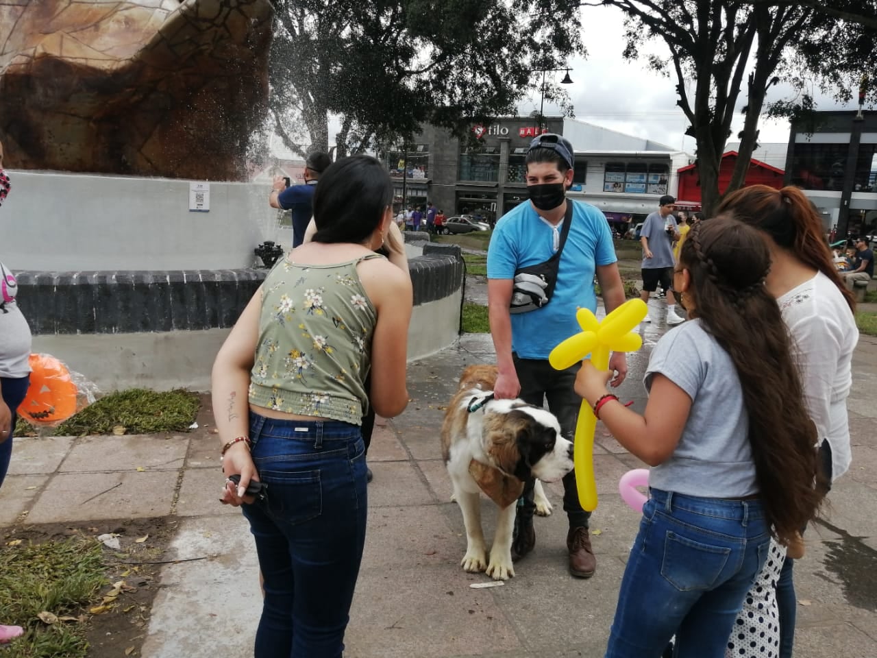 La plaza mayor de Cartago, luego de que se develó el monumento dedicado al bicentenario de la Independencia, ha sido un llenazo de gente que está feliz con la nueva cara de la plaza. En la foto, Piero, un San Bernardo de 7 meses, quien es el “hijo” de Jonathan Camacho