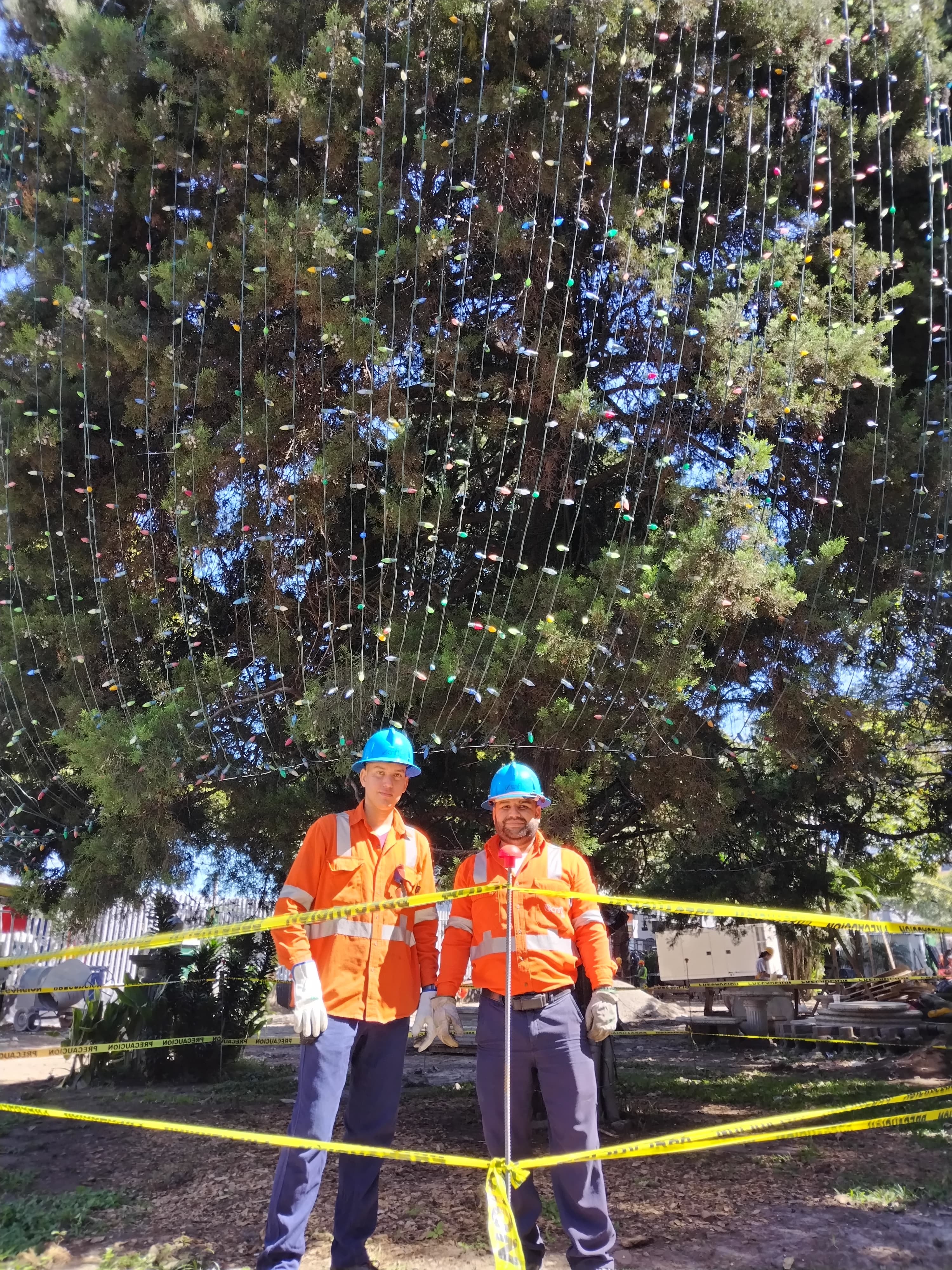 Por sexto año consecutivo don Marcelino Arce Díaz es el encargado principal de una muy linda, noble y amorosa misión, adornar con más de 20 mil bombillitos, el arbolote de navidad natural más grande del país, el del Hospital Nacional de Niños. En la foto Marcelino (derecha) junto a su compañero Dany Gómez.
