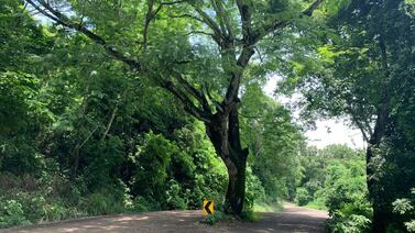 Cantón de San José lo invita a sumergirse en su naturaleza y arqueología