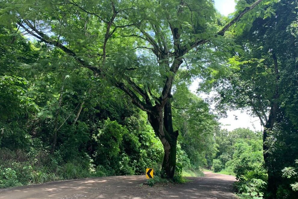 Cantón de San José lo invita a sumergirse en su naturaleza y arqueología.