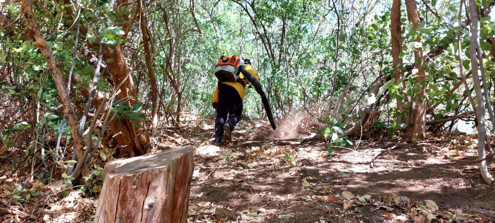Incendio Forestal, Guanacaste, Santa Cruz, Tempate, playa Danta, en Las Catalinas.