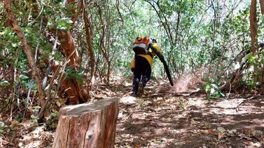 Bomberos no dieron tregua al fuego y salvaron 100 hectáreas de bosque
